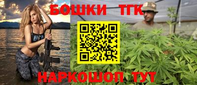 spice Кингисепп