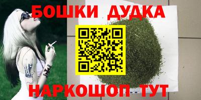 spice Кингисепп