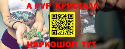 spice Кингисепп