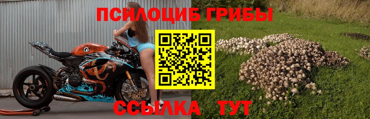 где найти наркотики  Галлюциногенные грибы мухоморы  Вход с VPN  Кировск 