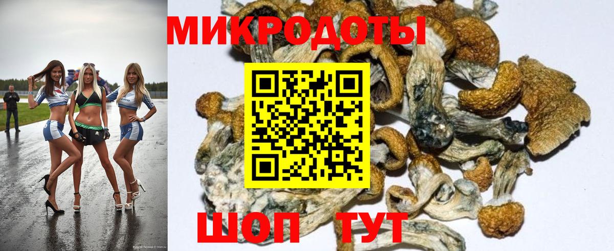 Галлюциногенные грибы мухоморы Кировск